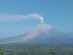 Aktivitas Vulkanik Meningkat: Gunung Semeru Erupsi Tiga Kali Letusan Capai 900 Meter di Atas Puncak