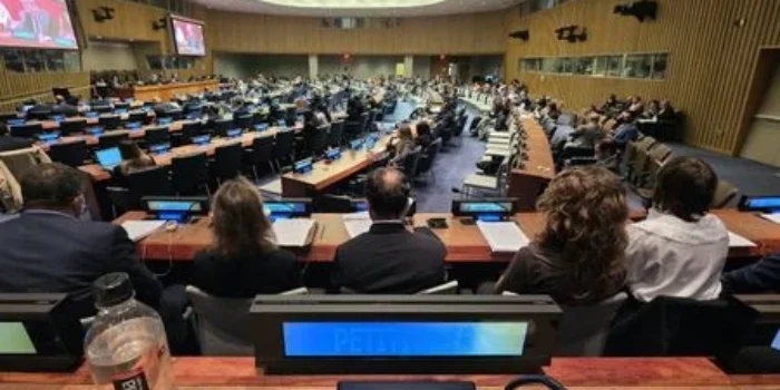 Kedaulatan Papua Sah di Mata Hukum Internasional, Sejarah Pepera Diperkuat